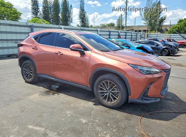 2T2AGCEZ3TC104254 2026 LEXUS NX Brown 