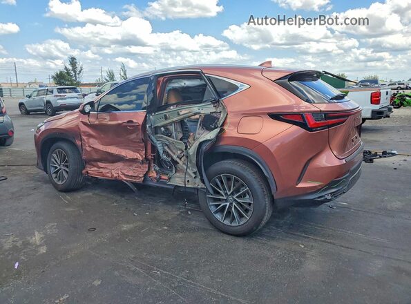 2T2AGCEZ3TC104254 2026 LEXUS NX Brown 