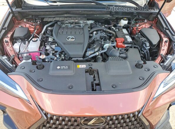 2T2AGCEZ3TC104254 2026 LEXUS NX Brown 