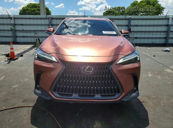 2T2AGCEZ3TC104254 2026 LEXUS NX Brown 