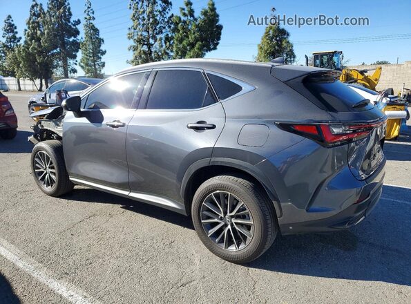 2T2AGCEZ4RC050522 2024 LEXUS NX Gray Trasero izquierdo