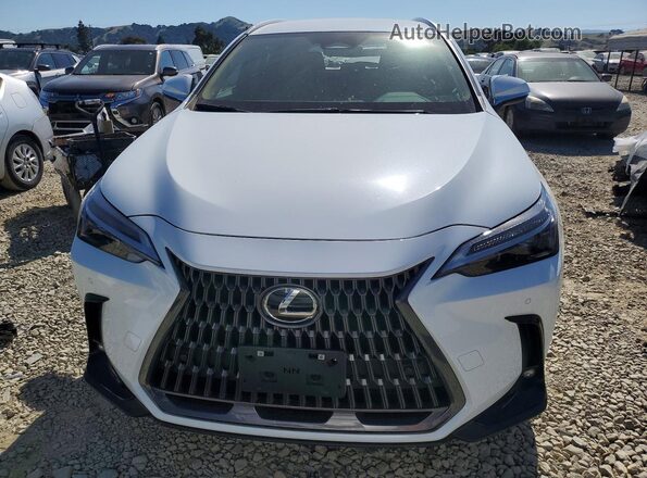 2T2AGCEZ4TC109673 2026 LEXUS NX White Front view