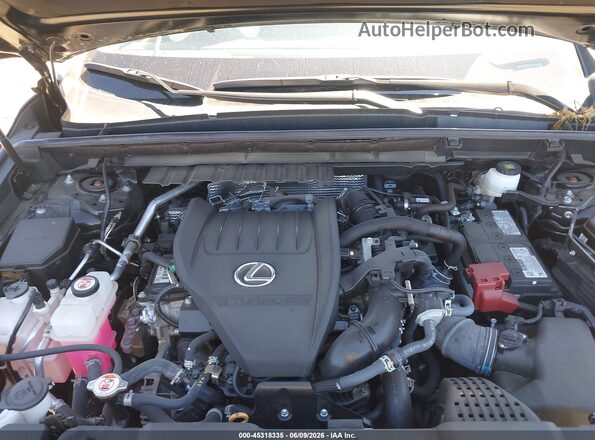 2T2AGCEZ7SC065991 2025 LEXUS NX 350 Black Rear view