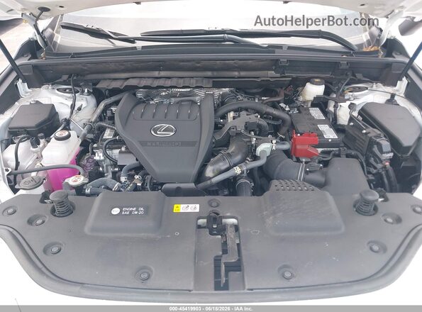 2T2AGCEZ7TC103687 2026 LEXUS NX 350 White Widok z tyłu