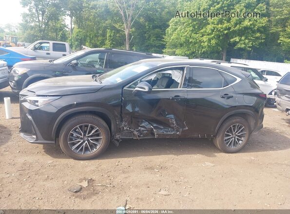 2T2AGCEZ9SC094053 2025 LEXUS NX 350 Black Սալոնի 360 աստիճան տեսք