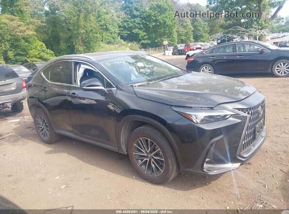2T2AGCEZ9SC094053 2025 LEXUS NX 350 Black Սալոնի հետևի տեսք