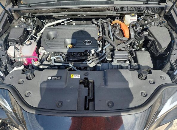 2T2AKCEZ6SC053801 2025 LEXUS NX Black Engine compartment view