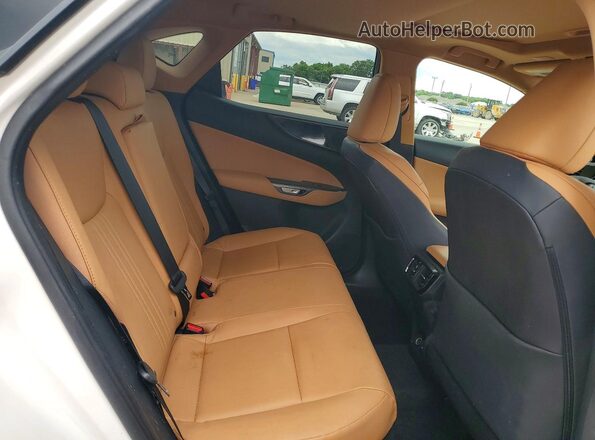 2T2AKCEZ8SC033694 2025 LEXUS NX White 
