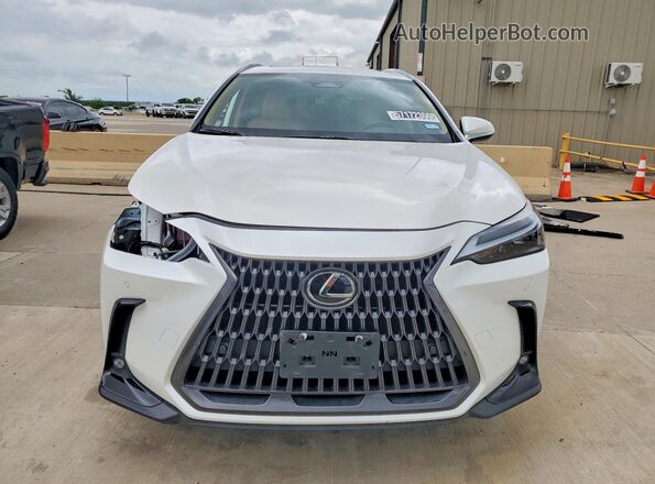 2T2AKCEZ8SC033694 2025 LEXUS NX White 