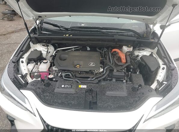 2T2AKCEZ9NC007724 2022 LEXUS NX 350H White Հետևի տեսք