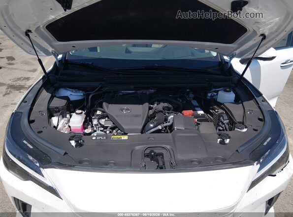 2T2BAMBA2SC060126 2025 LEXUS RX 350 White Rear view