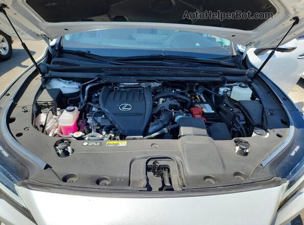 2T2BAMBA7PC016064 2023 LEXUS RX White 