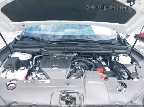 2T2BAMBAXTC074597 2026 LEXUS RX 350 White Widok z tyłu