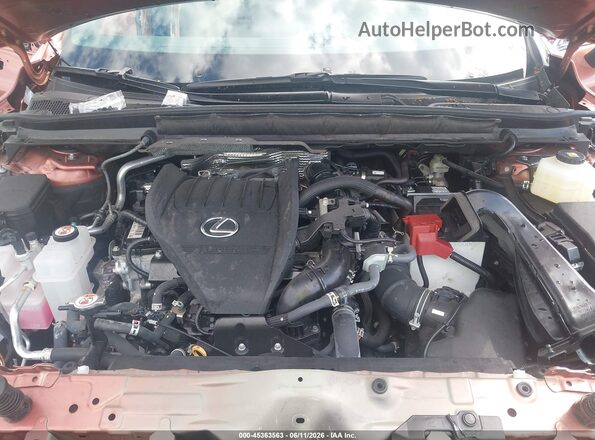 2T2BAMCA1SC095383 2025 LEXUS RX 350 Orange Vista trasera