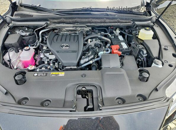 2T2BAMCA1TC137911 2026 LEXUS RX Black Widok wnętrza z tyłu