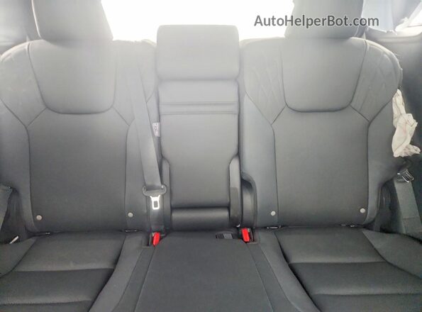 2T2BAMCA2SC123806 2025 LEXUS RX Белый Вид задних сидений