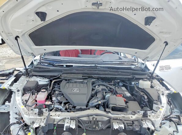 2T2BAMCA3RC040993 2024 LEXUS RX White 