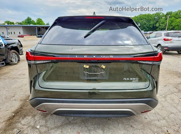 2T2BAMCA4PC030812 2023 LEXUS RX Green Widok z tyłu
