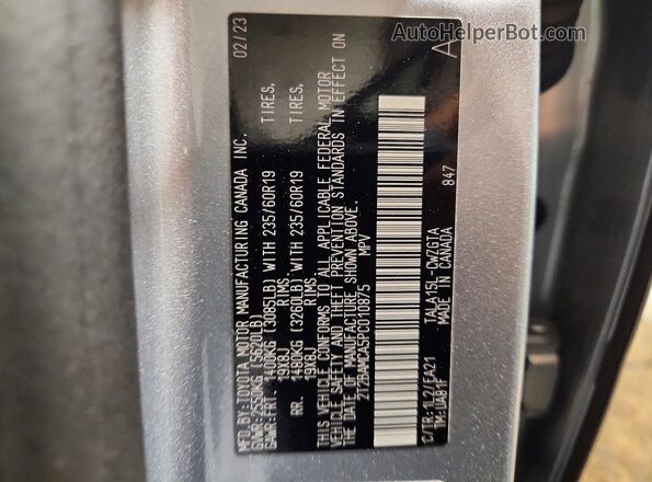 2T2BAMCA5PC010875 2023 LEXUS RX Silver Панорамний вид салону 360°
