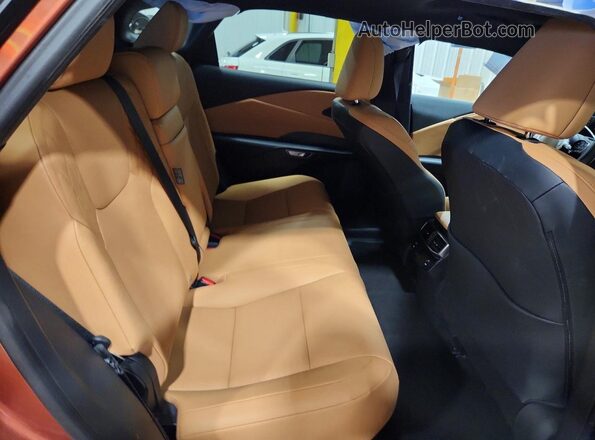 2T2BAMCA5SC090476 2025 LEXUS RX Orange Rear interior view