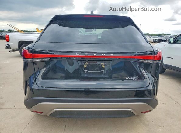 2T2BAMCA6SC102621 2025 LEXUS RX Черный 