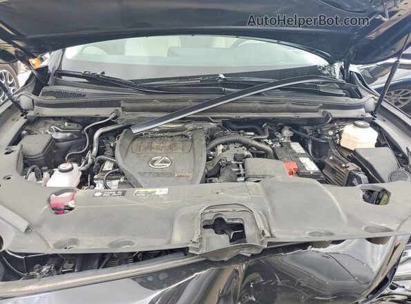2T2BAMCA6SC102621 2025 LEXUS RX Черный 