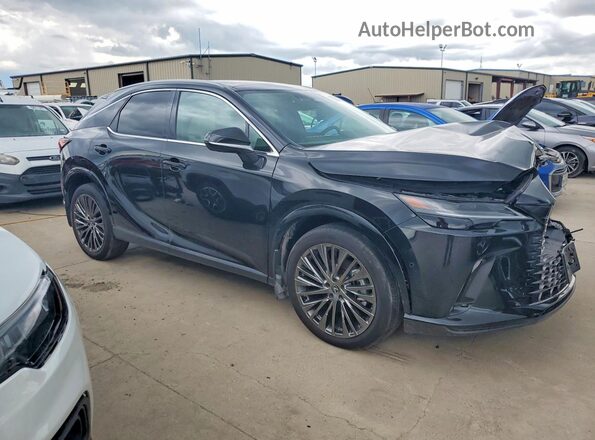 2T2BAMCA6SC102621 2025 LEXUS RX Черный 