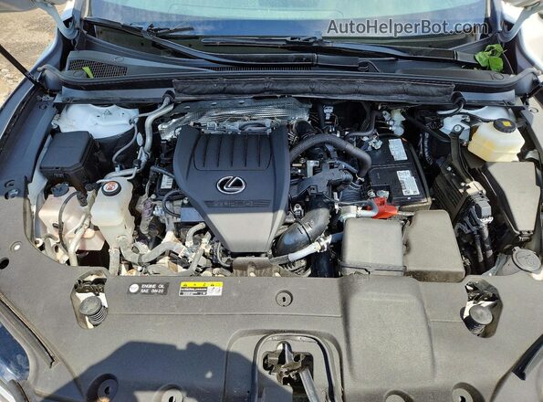 2T2BAMCA7SC090463 2025 LEXUS RX White 