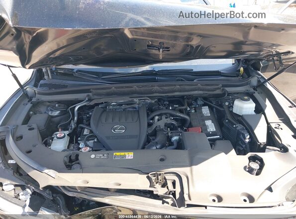 2T2BAMCA8PC035561 2023 LEXUS RX 350 Black Հետևի տեսք