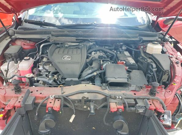 2T2BAMCA8RC038897 2024 LEXUS RX Red 
