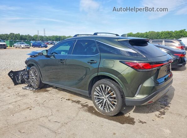 2T2BAMCA8SC123860 2025 LEXUS RX Green Հետևի ձախ