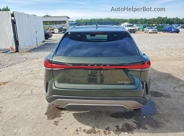 2T2BAMCA8SC123860 2025 LEXUS RX Green Հետևի տեսք