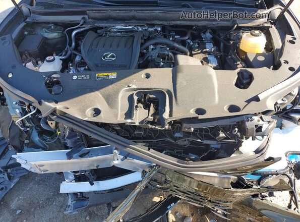 2T2BAMCA8SC123860 2025 LEXUS RX Green Սալոնի հետևի տեսք