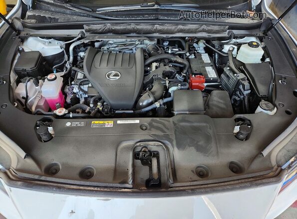 2T2BAMCA9PC016713 2023 LEXUS RX White 