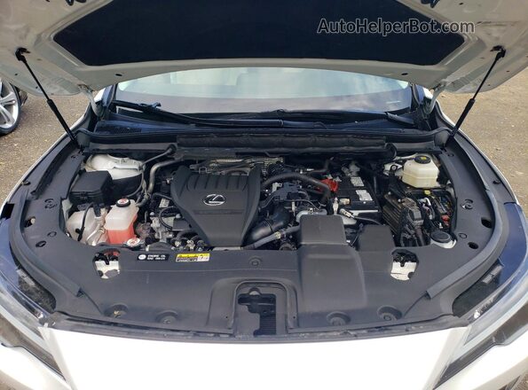 2T2BAMCA9RC050010 2024 LEXUS RX White უკანა სალონის ხედი