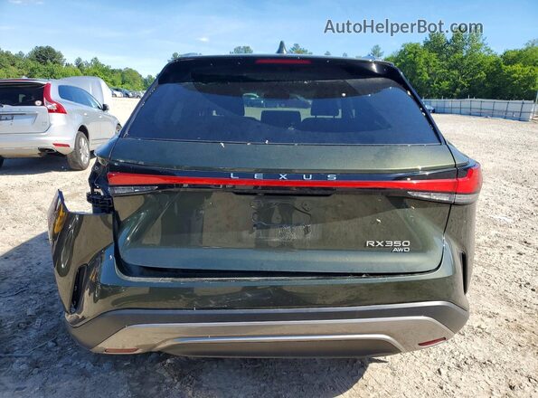 2T2BAMCA9RC050766 2024 LEXUS RX Green Vista trasera