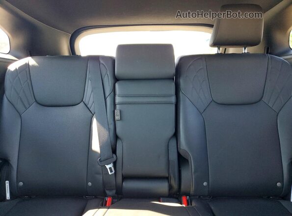 2T2BAMCA9RC050766 2024 LEXUS RX Green Vista de los asientos traseros