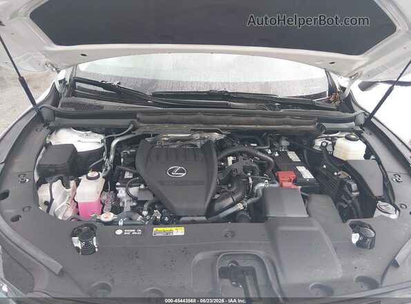 2T2BAMCA9RC084108 2024 LEXUS RX 350 White Հետևի տեսք