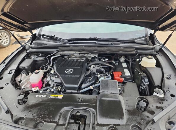 2T2BAMCA9RC088790 2024 LEXUS RX Black Սալոնի հետևի տեսք