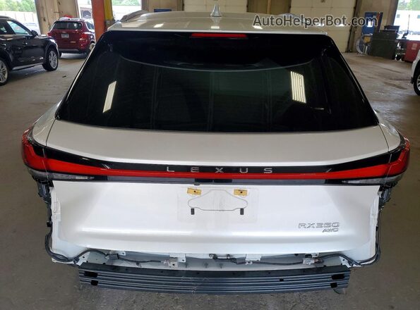 2T2BAMCAXPC020849 2023 LEXUS RX White Rear view
