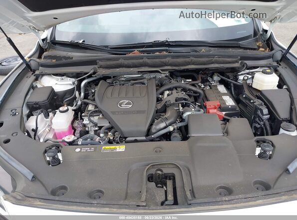 2T2BAMCAXRC068659 2024 LEXUS RX 350 Белый Вид сзади