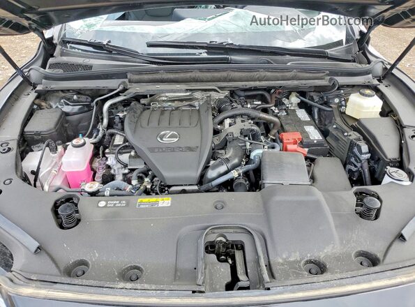 2T2BAMCAXSC103268 2025 LEXUS RX Черный 