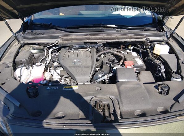 2T2BAMCAXSC106638 2025 LEXUS RX 350 Green Rear view