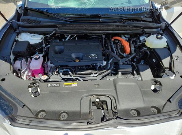 2T2BBMCA0TC113094 2026 LEXUS RX White 