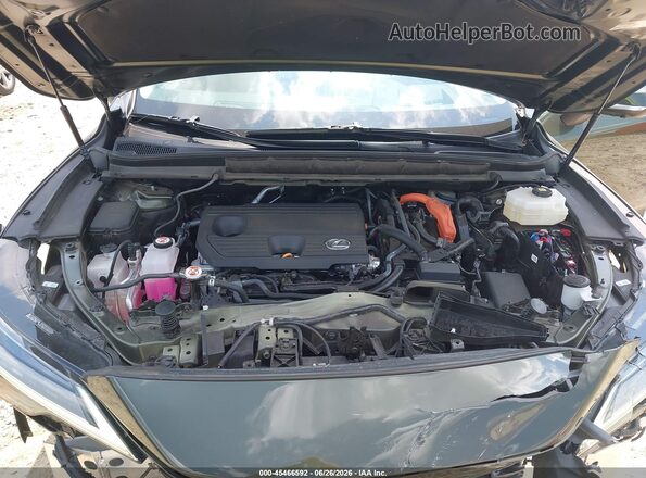 2T2BBMCA1SC074885 2025 LEXUS RX 350H Green Vista trasera