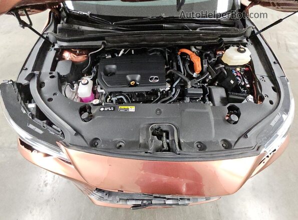 2T2BBMCA5RC036568 2024 LEXUS RX Orange 