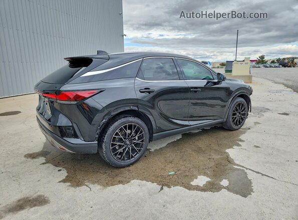 2T2BBMCA5SC070824 2025 LEXUS RX Black Задня права чверть