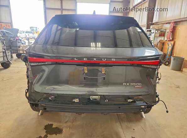 2T2BBMCA5SC097263 2025 LEXUS RX Gray 