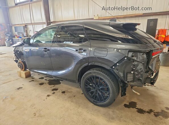 2T2BBMCA5SC097263 2025 LEXUS RX Gray 