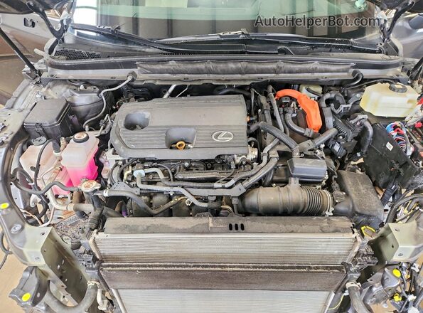 2T2BBMCA5SC097263 2025 LEXUS RX Gray 